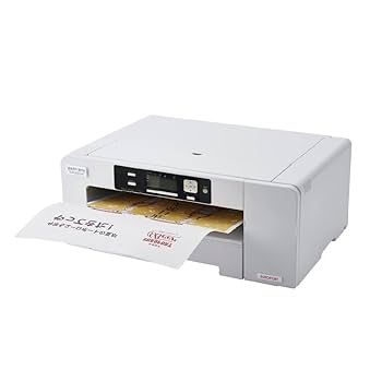 Amazon.co.jp: ユーロポート 小型昇華転写プリンター WARP310